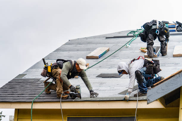 Professional Emergency Roof Repair technician working in Wayland, MI